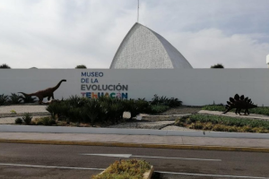 Los mejores museos para visitar en TehuacÃ¡n